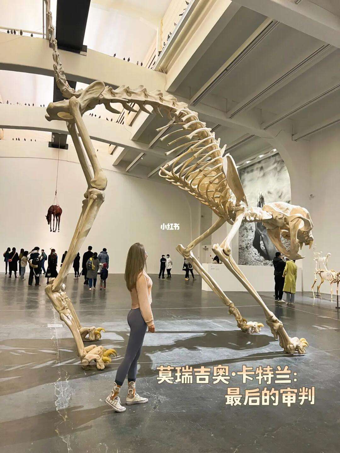 穆雷赛事官方发布回归赛场新规，篮网争议不断！(湖人队新赛季阵容)